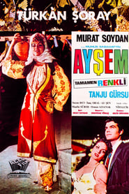 Poster Ayşem