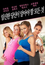 임신한 당신이 알아야 할 모든것 (2012)