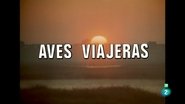 Episode 35