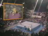 January 30, 1988 - Superstars of Wrestling 74