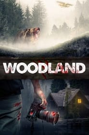 Woodland постер