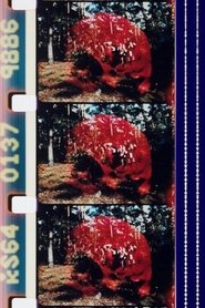 Poster Sun Love 1967