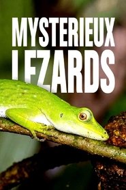 Affiche de Mystérieux lézards : une évolution inattendue