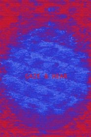 Poster Gaze and Hear 2010
