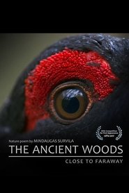 Poster for The Ancient Woods