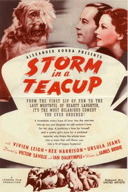 Storm in a Teacup постер