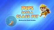 Pups Save a Class Pet