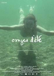 Poster Orages d'été 2014