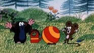 The Mole and the Sorcerer