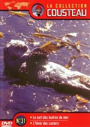 Poster The Cousteau Collection N°31-1 | The Fate of Sea Otters 1971