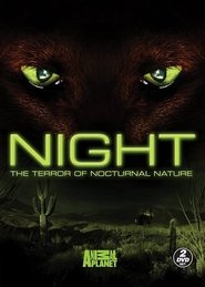 Night Episode Rating Graph poster