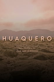 Huaquero постер
