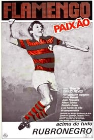Poster Flamengo Paixão
