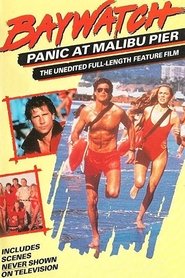 Baywatch: Panic at Malibu Pier