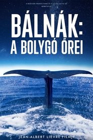 Bálnák, a bolygó őrei (2023)