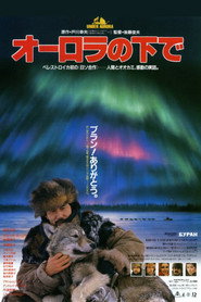 Под северным сиянием