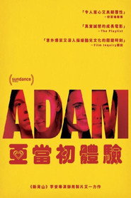 少年亚当