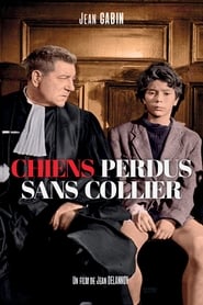 Film streaming | Voir Chiens perdus sans collier en streaming | HD-serie