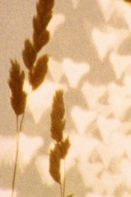 Poster untitled (august) 2016