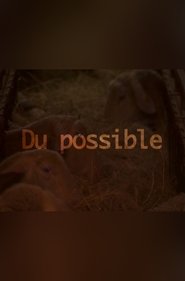 Poster Du possible