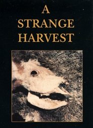 A Strange Harvest Films Kijken A Strange Harvest Films Kijken Online
