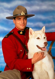 Due South poster