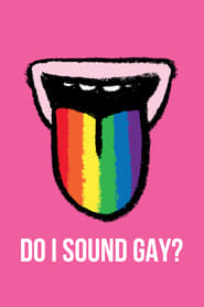Poster for Do I Sound Gay?
