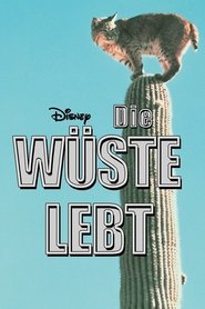 Poster Die Wüste lebt