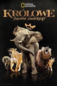 Kr&oacute;lowe świata zwierząt (2024)