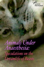 Animals Under Anaesthesia: Speculations on the Dreamlife of Beasts