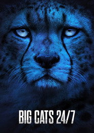 Big Cats 24/7 постер
