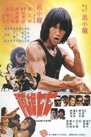 Challenge of the Tiger (1980) poster