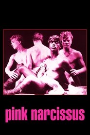 Pink Narcissus (1971)