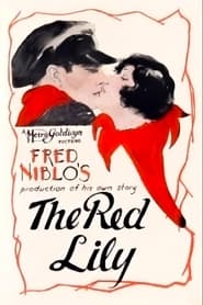 Poster The Red Lily