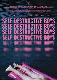 Poster Self Destructive Boys 2018