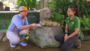 Blippi Learns How To Be a Zookeeper