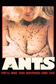 Ants постер