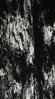 Poster Bitemporal Vision: The Sea 1994