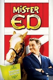 Mister Ed poster