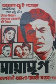 Poster মায়া মৃগ