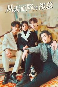 从天而降的祁总 (2023)