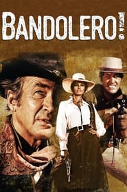 Bandolero! постер