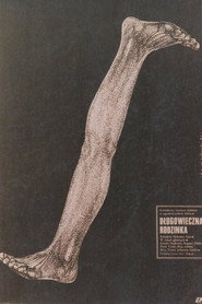 Plakat — Rodzinny interes