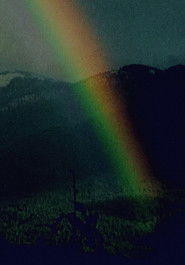 Running Shadow Part II