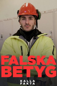Kalla fakta: Falska betyg