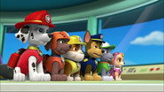 Paw Patrol: Patrulla de Cachorros - Episodio 34: Episodio 34