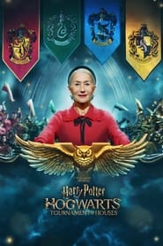 Harry Potter: Hogwarts Tournament of Houses poster