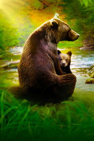 Growing Up Animal постер