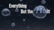 Everything But the Rain