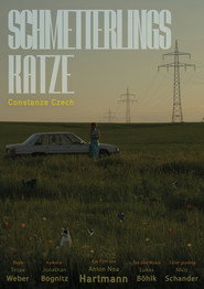 Schmetterlingskatze